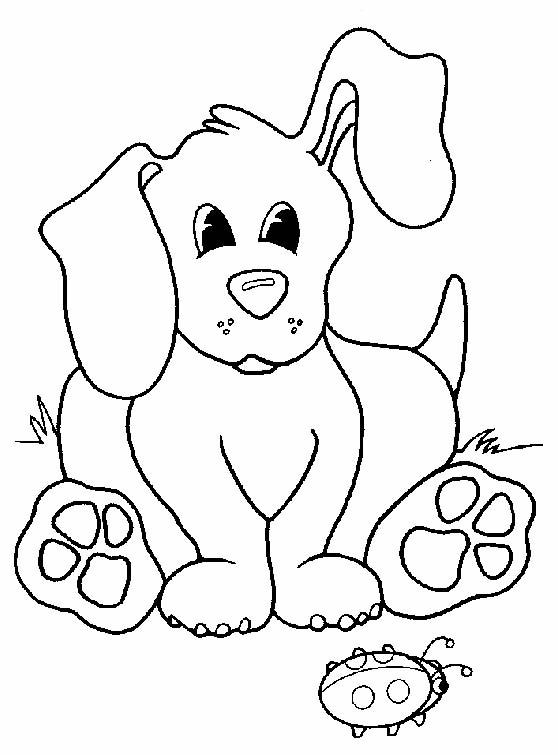 Materiali Creativi CRAFT KREATIVLY 6 Carte Di Riso Shabby - Fogli 20x26.6cm Per Scrapbooking E Decoupage Carta Decoupage