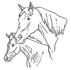 due cavalli