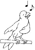 Uccello che canta